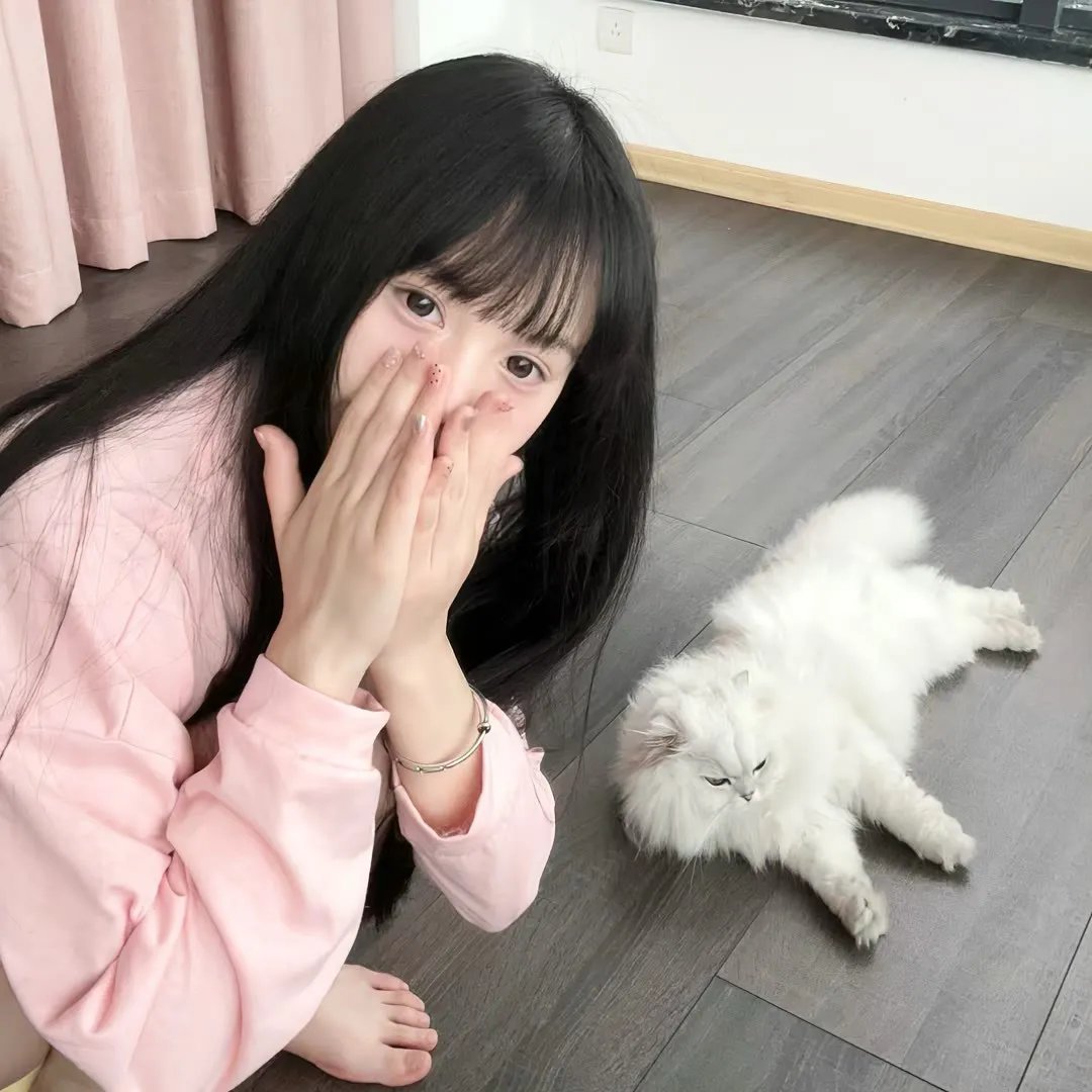 地球队长